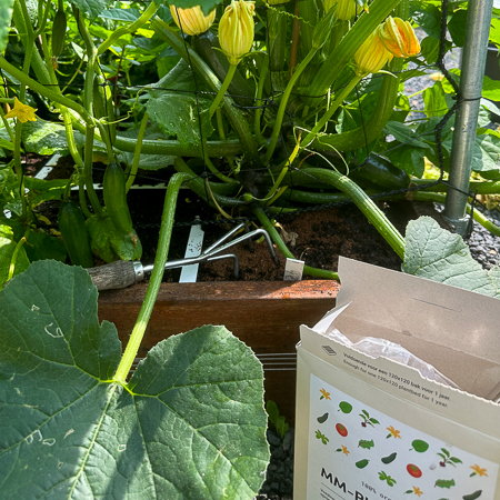 Give summer vegetables some extra plant food every 5 weeks