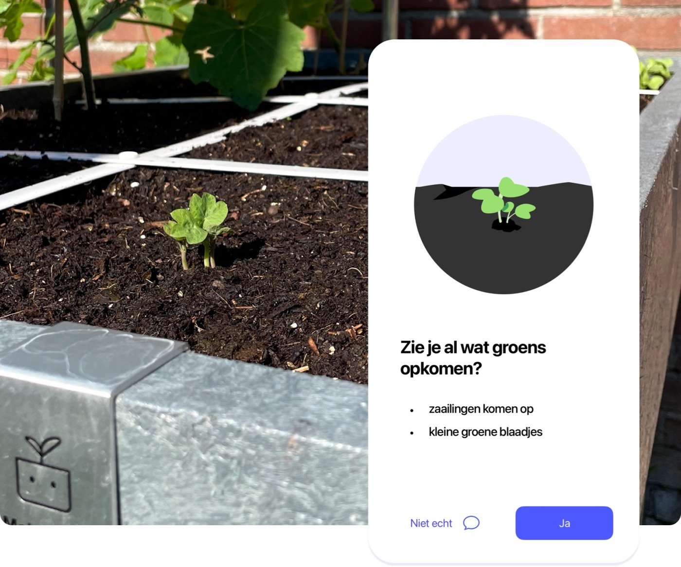 The MM app as your personal vegetable garden coach