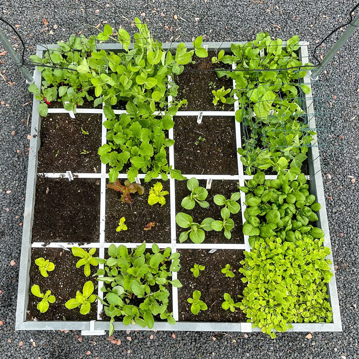 Exactly deep enough, clear grid, and patches of 30x30 cm