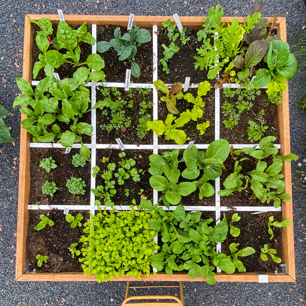 Precies diep genoeg, duidelijk raster en vakken van 30x30 cm