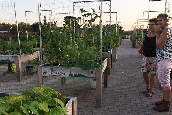 Moestuinproject uit 2016 met houten Makkelijke Moestuin tafelbakken