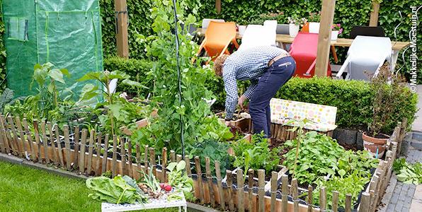Onze Makkelijke moestuin naast het terras