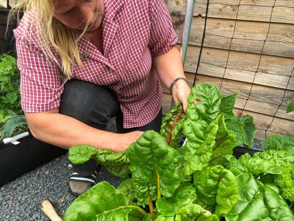 Kristin op inspectie