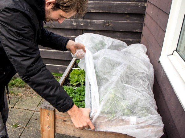 Moestuinmuts voor over je bak