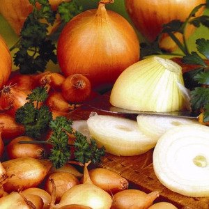 Yellow Winter Onions