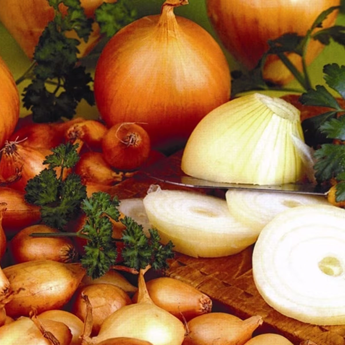 Yellow Winter Onions