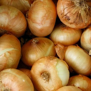Yellow Winter Onions