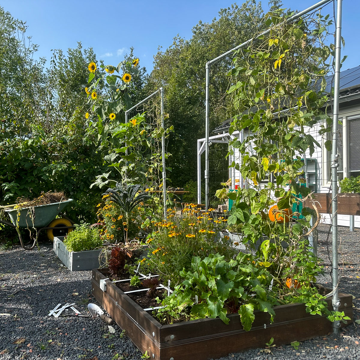 Herfst in de moestuin - begin oktober
