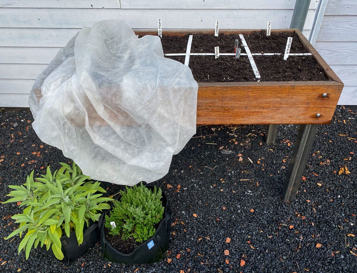 Makkelijke Moestuinmuts over de bamboe moestuinbak op poten
