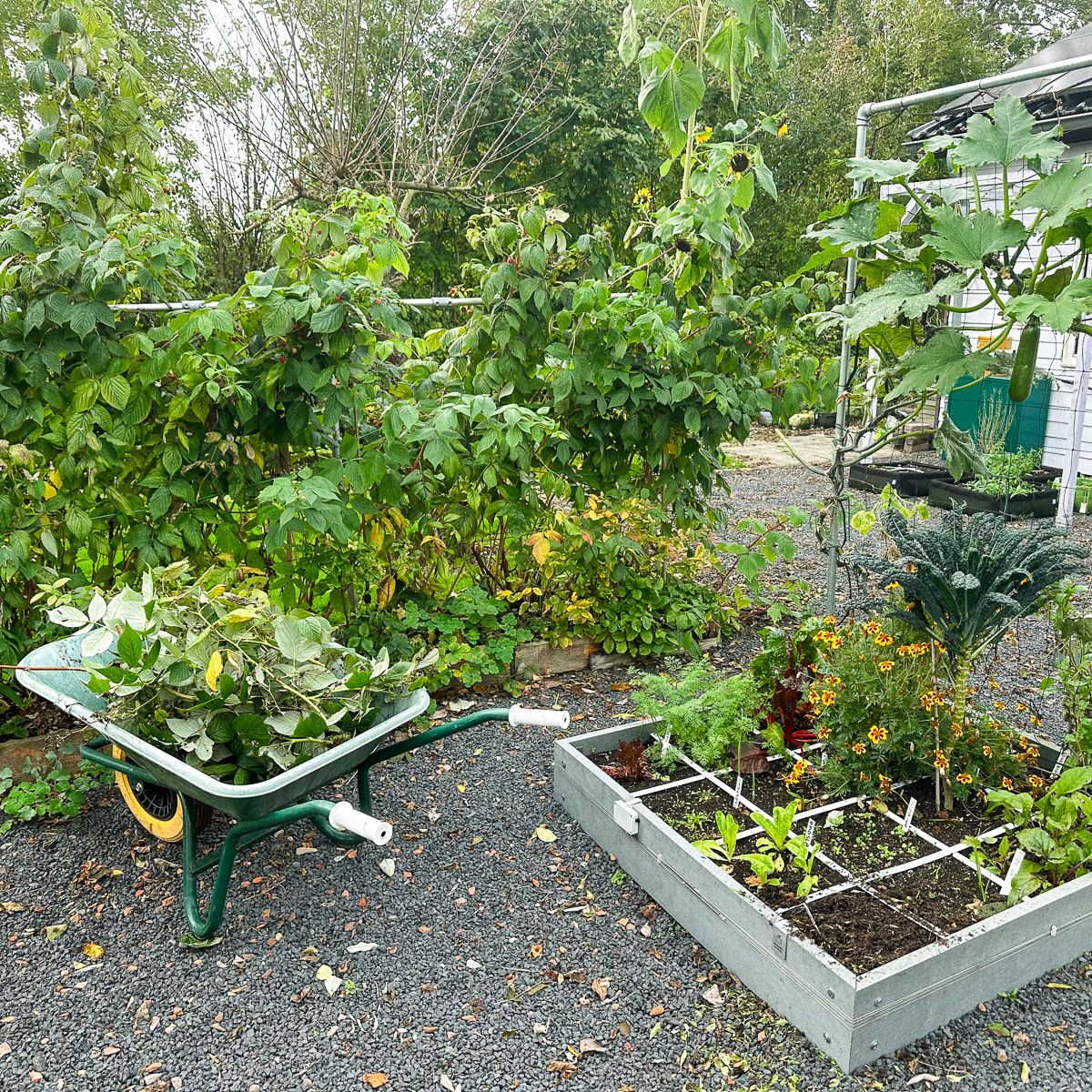 Get your garden boxes ready for winter