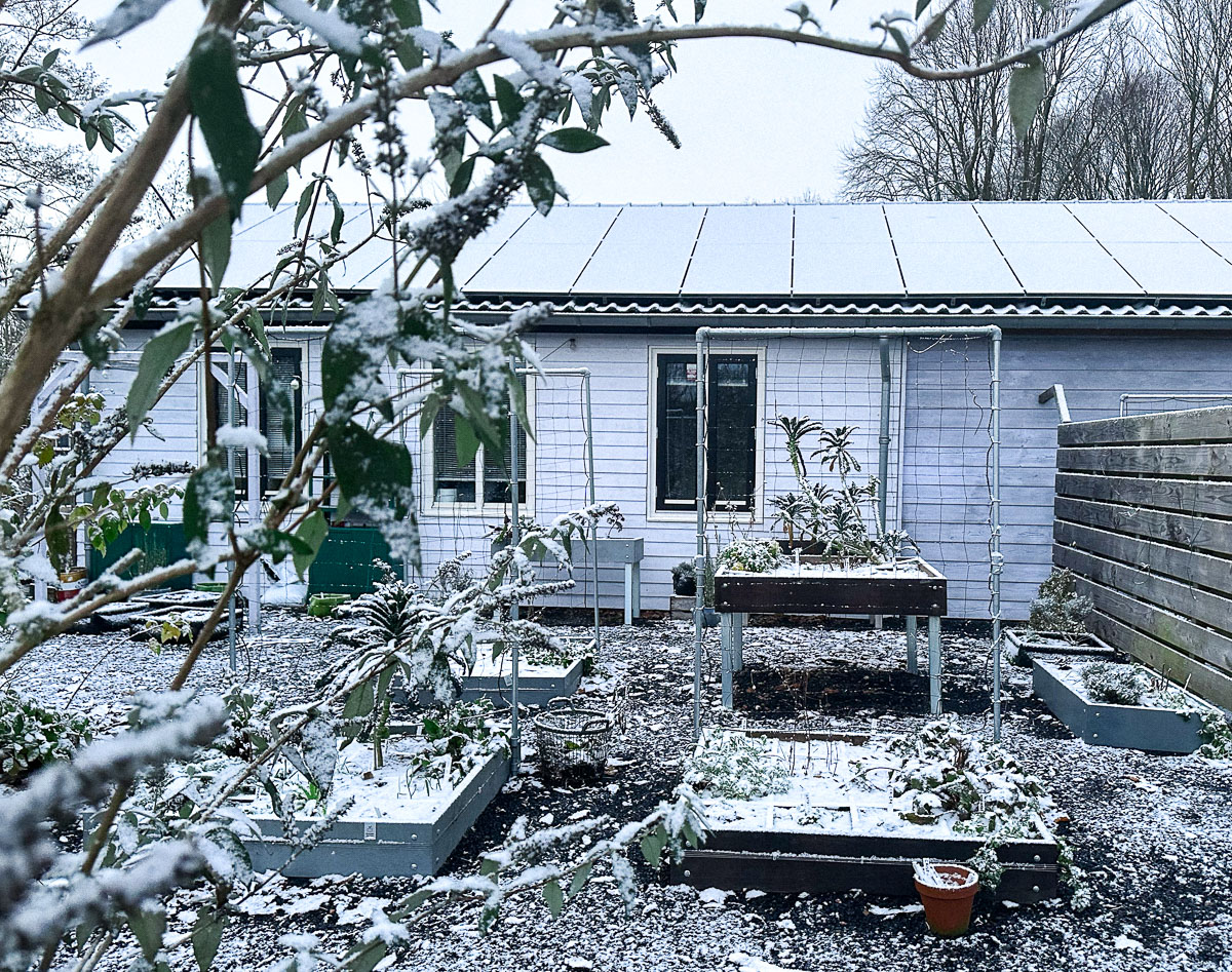 De kantoortuin 1 december met de eerste sneeuw 🙂