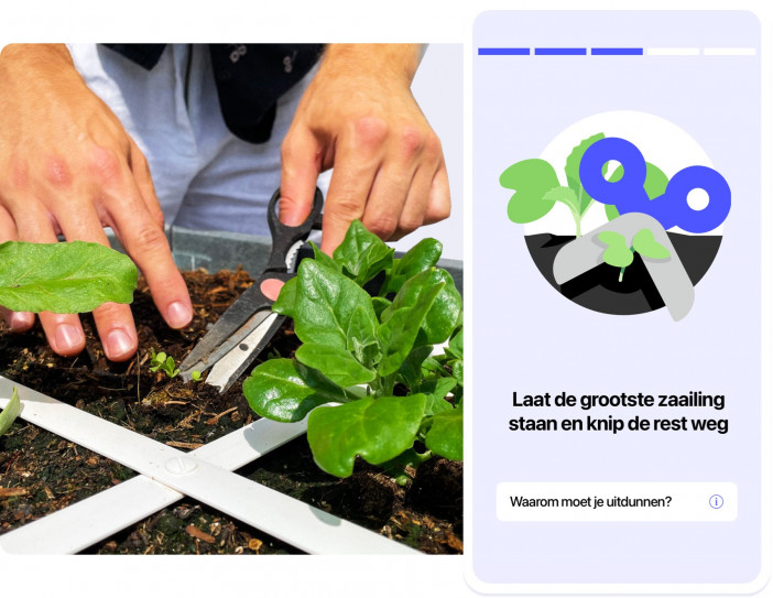 Heldere, stap-voor-stap instructies