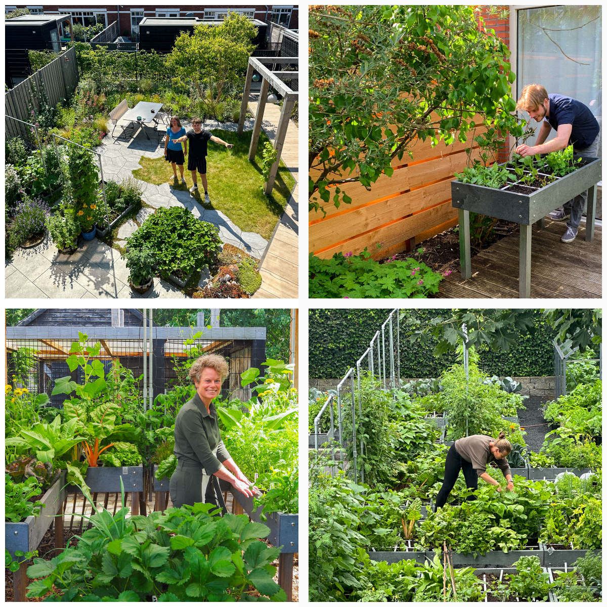 Makkelijke Moestuinen op veel verschillende plekken