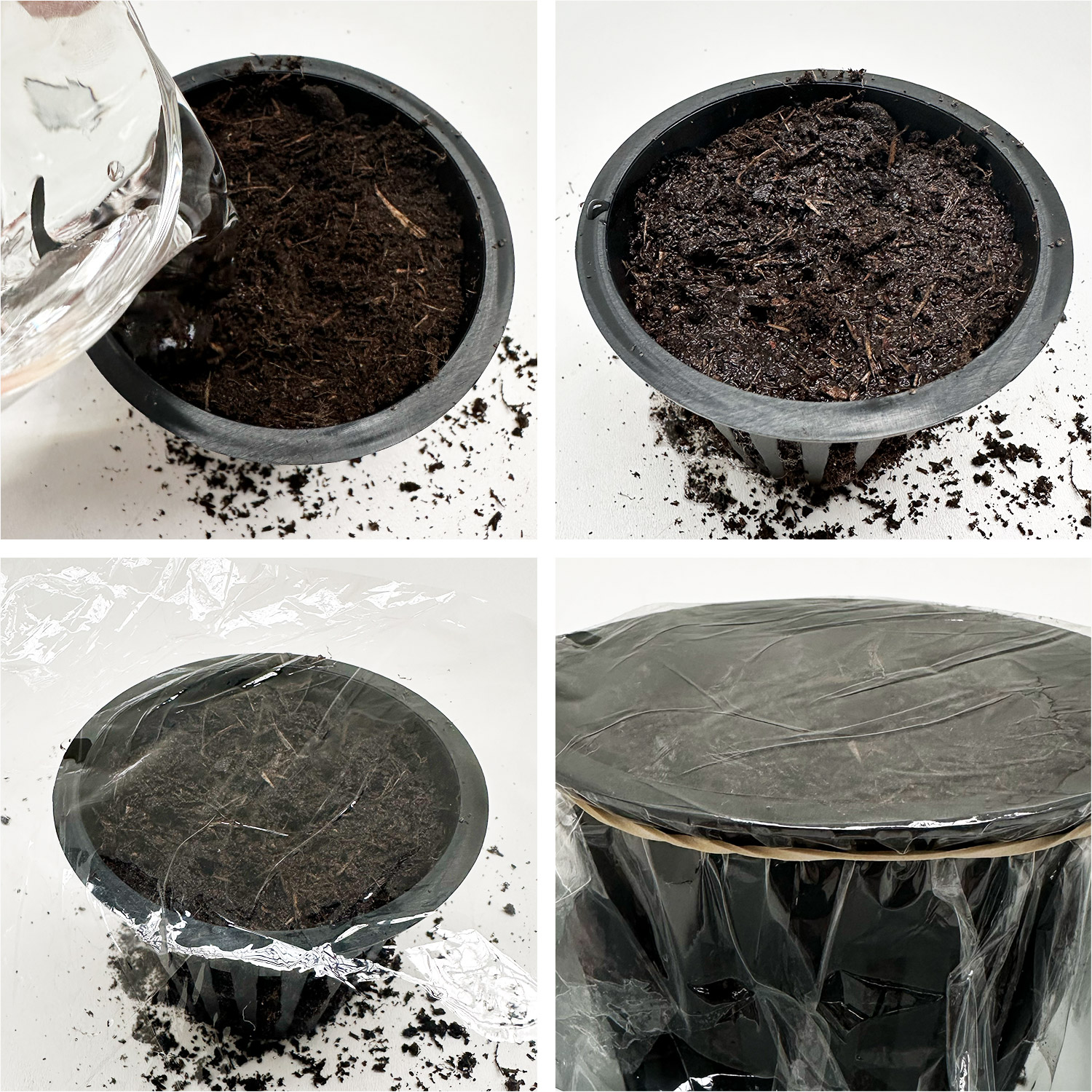 Pots covered with film so the seedlings come up faster