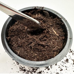 MM pre-sowing mix 5L
