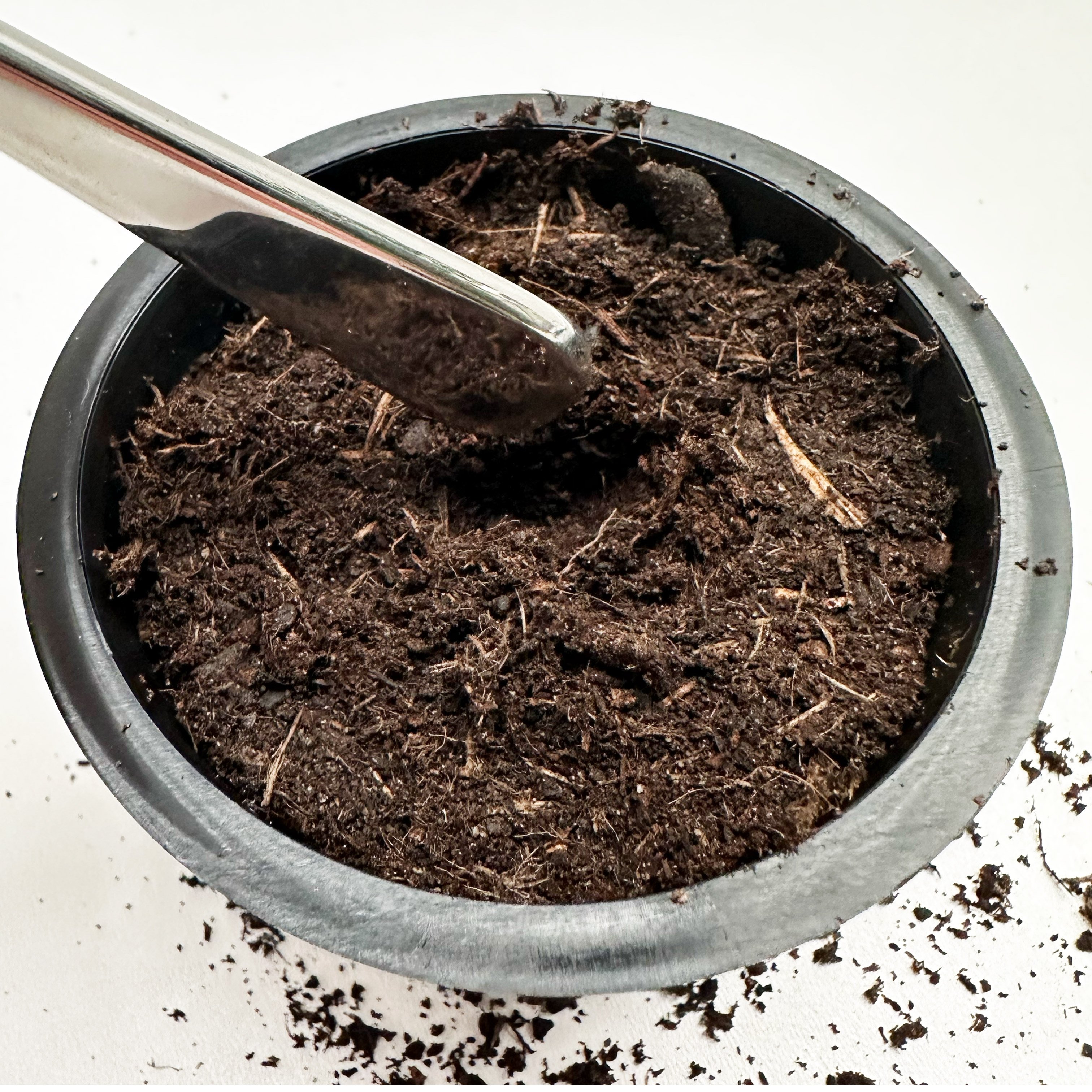 MM pre-sowing mix 5L