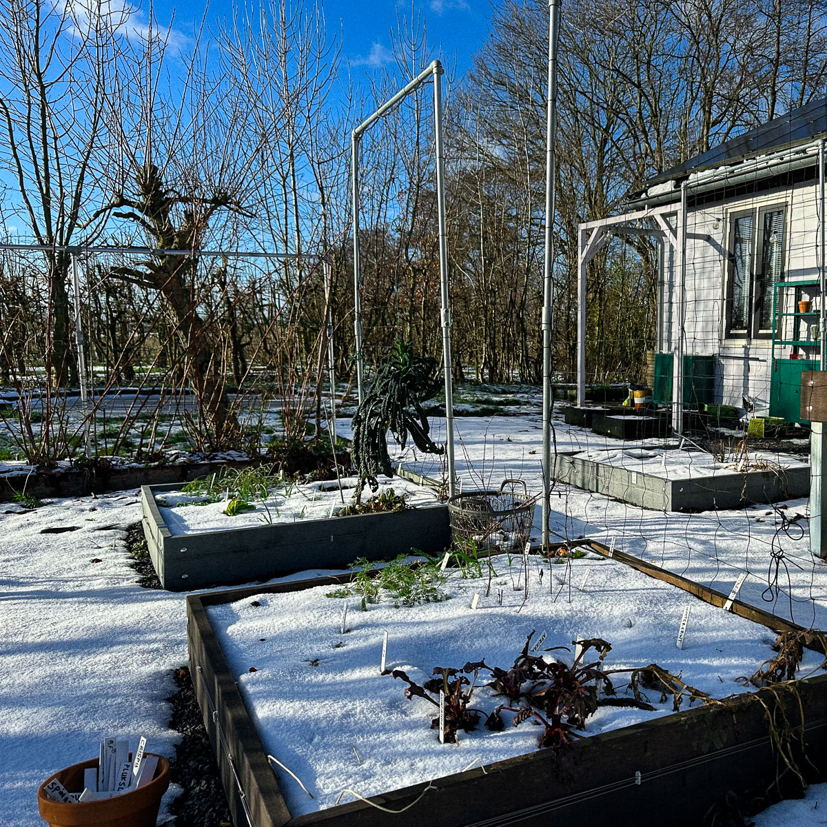 Sneeuw in de kantoortuin