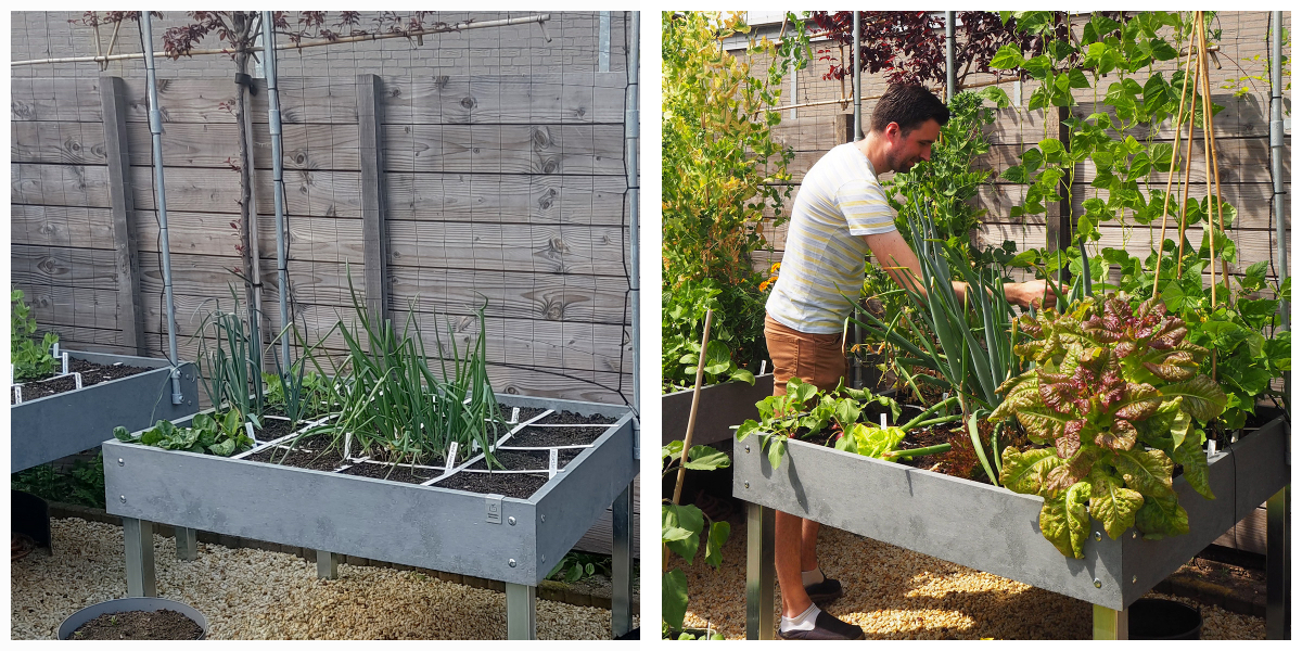Met zijn Hero tafelbakken bewijst Groentjeinhetgroendoen dat zijn Makkelijke Moestuin meer opbrengt dan een moestuin in de volle grond