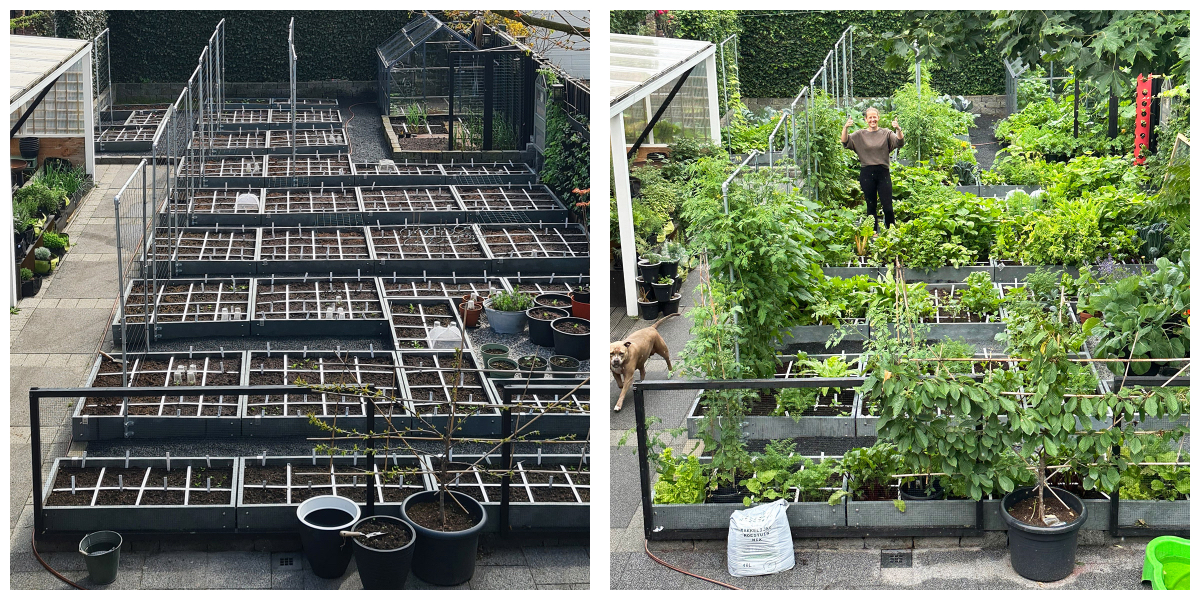 Pluktuin voor vele gezinnen, opgezet met Makkelijke Moestuin Hero bakken