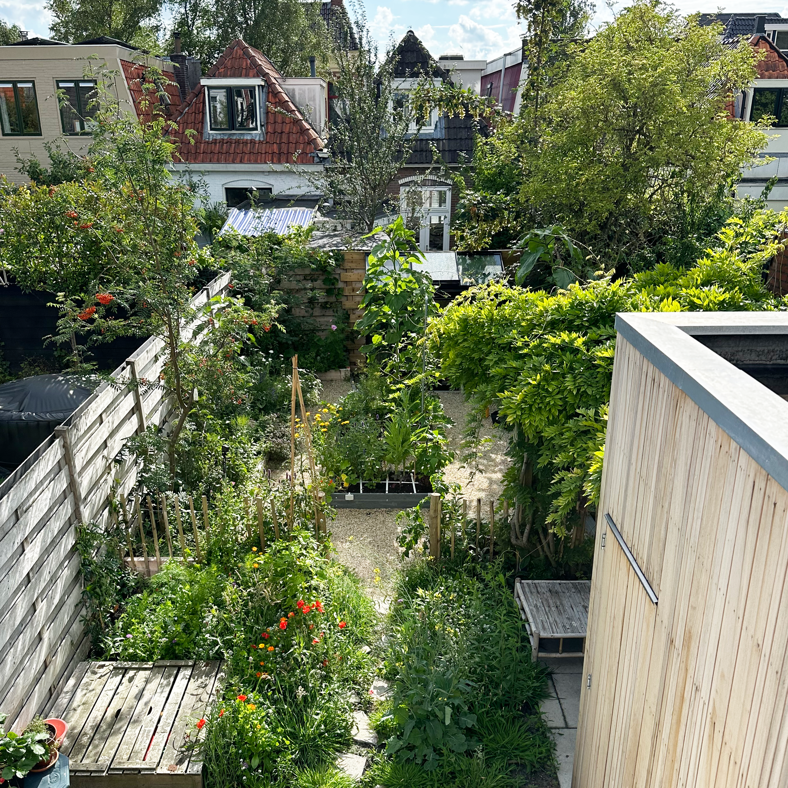 De ideale Makkelijke Moestuin van Jelmer