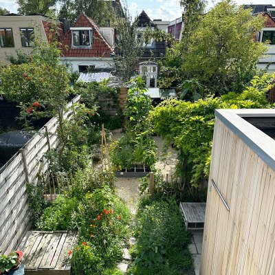 Hoe ziet jouw ideale moestuin eruit?
