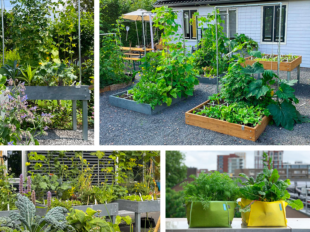 Makkelijke Moestuinen in verschillende maten en vormen