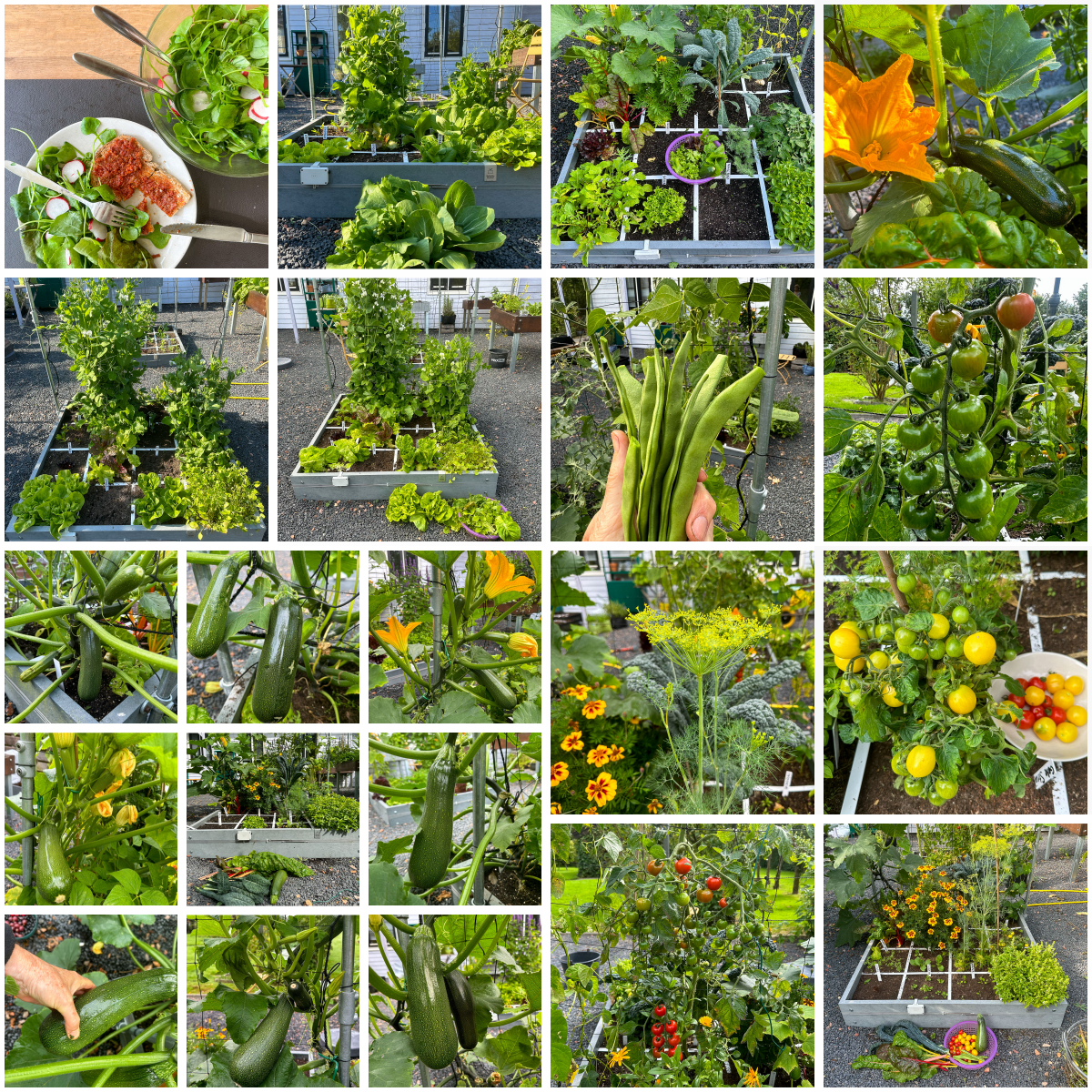 Deel van de opbrengst uit de 1-maartbak 2023 in onze eigen Makkelijke Moestuin