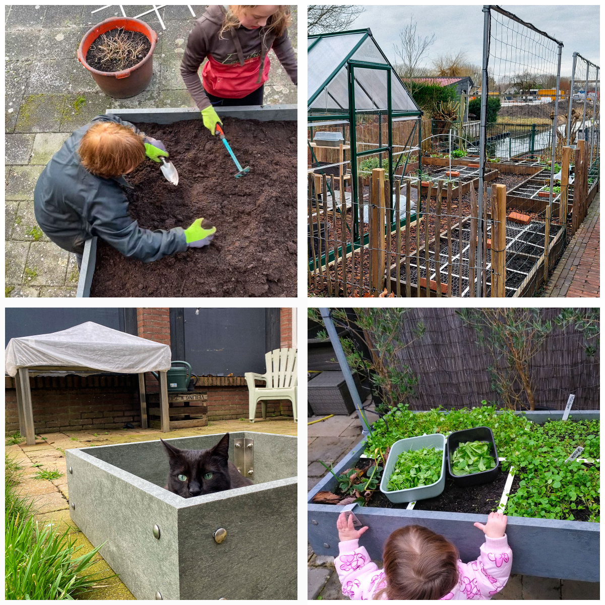 De Makkelijke Moestuin community is al lekker bezig 😀