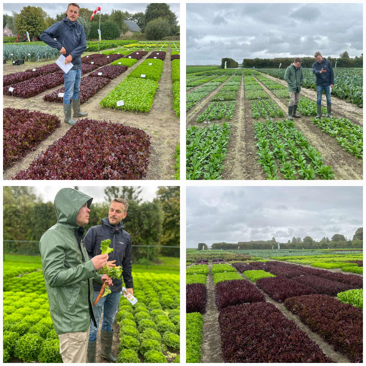 Rondje met Thijs over de showtuin van RijkZwaan