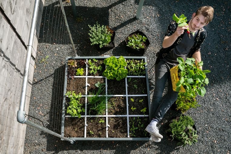 Artikel Trouw Makkelijke Moestuin 18 april 2020