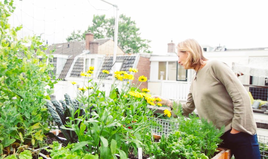 A Planty Garden can grow almost anywhere: on the roof, balcony or backyard