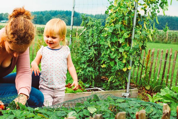 A Planty Garden is so easy, even kids can garden with our system