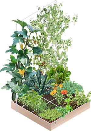 Each section of the Planty Garden functions as a separate vegetable patch