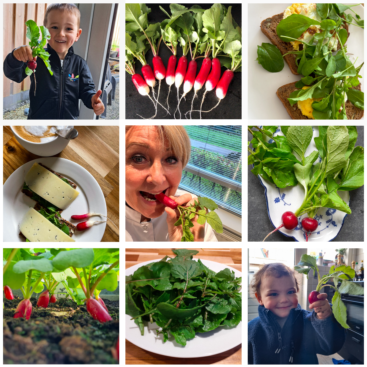 Rucola en radijsjes op de community