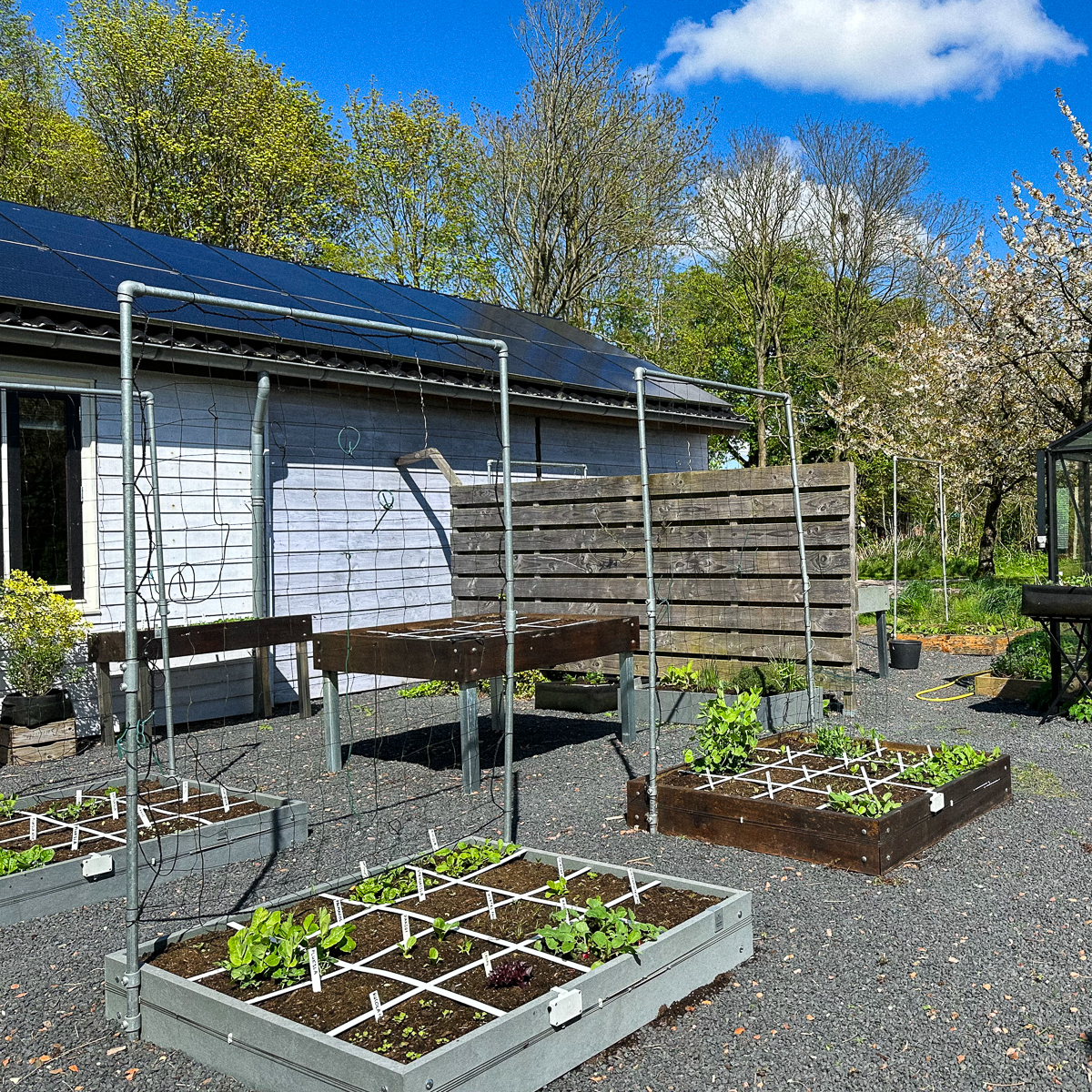 21 april: langzaam wordt alles weer groen