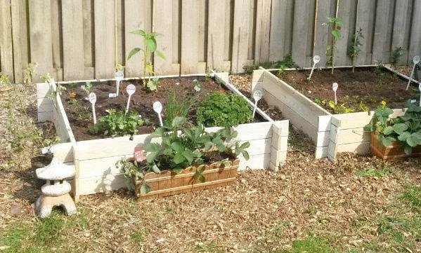 Garden boxes with regular potting soil don't grow vegetables as well.