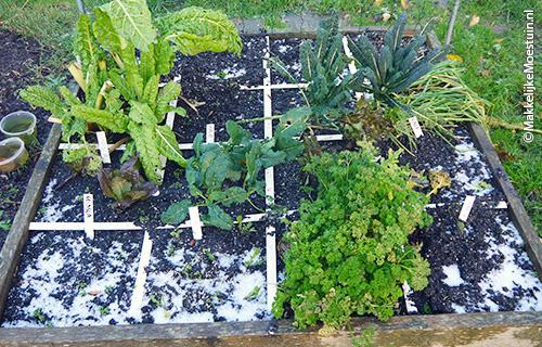 Rendable moestuinbak 10 december