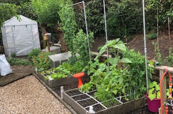 De Makkelijke Moestuinbakken van RiaSt🐝