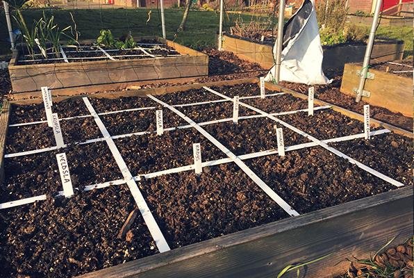 3 maart: de eerste vakken zijn ingezaaid