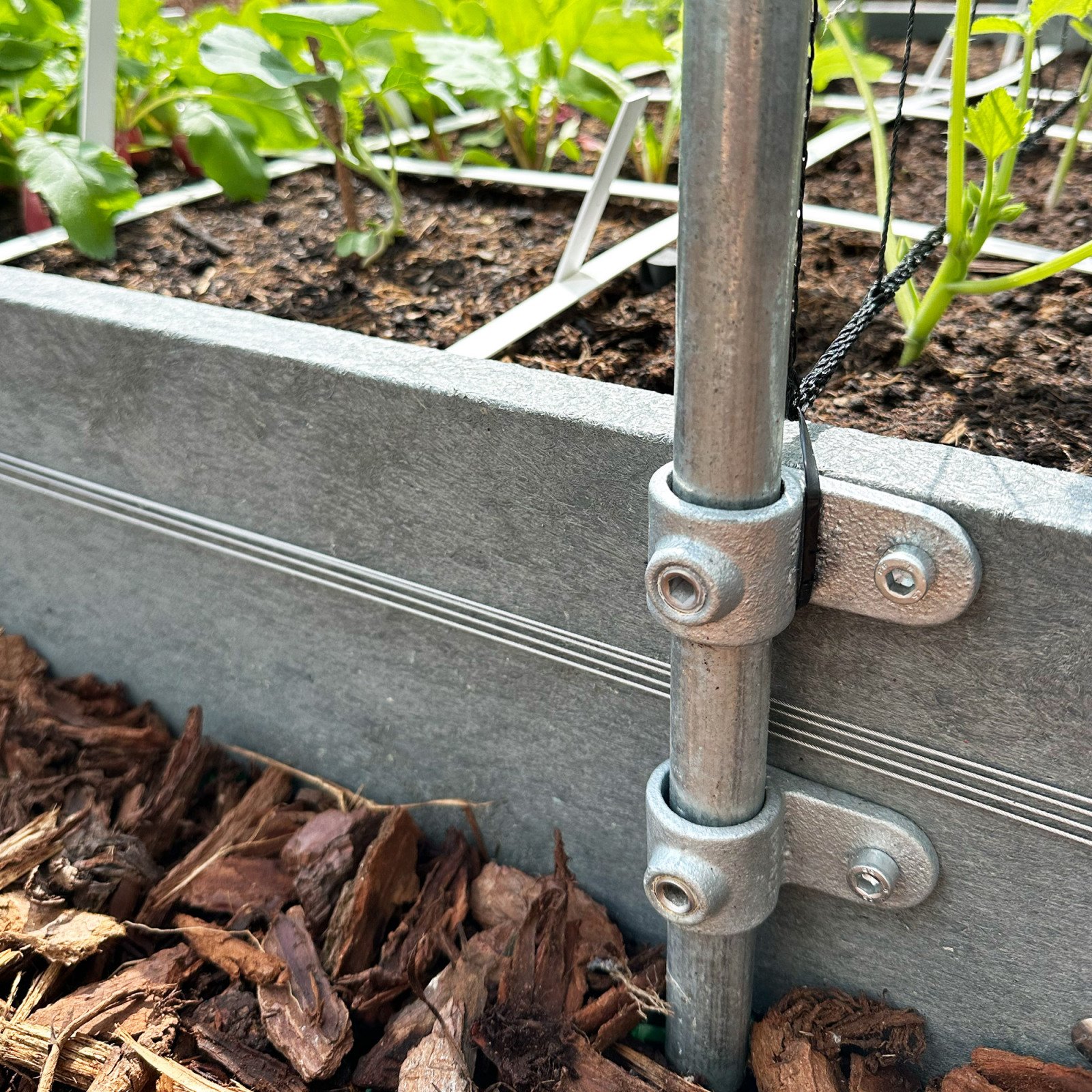 MM trellis