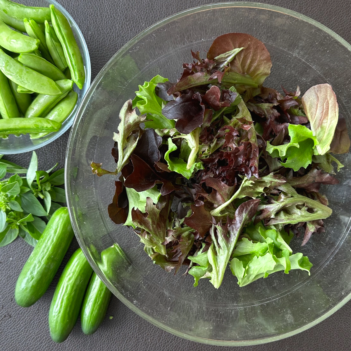 Kleine blaadjes Salanova, sugarsnaps, verse basilicum en mini-komkommertjes (testzaden)
