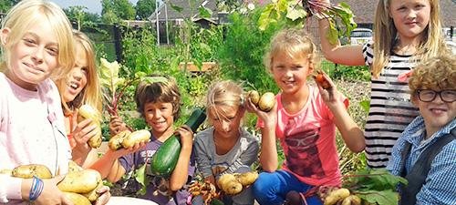 Een schooimoestuin heeft veel voordelen