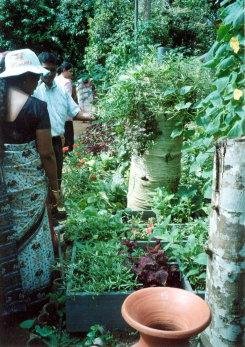 Square Foot Gardening project in Sri Lanka