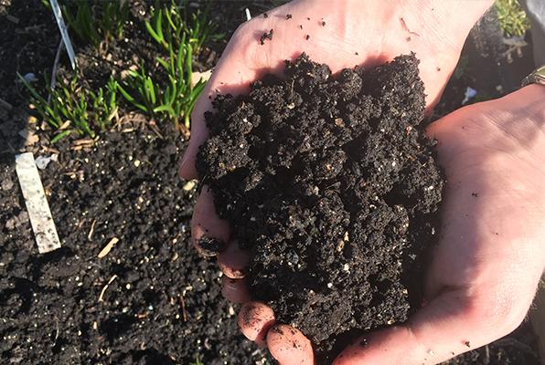 MM-Mix stays good forever, so you never have to take it out and replace it with new soil mix