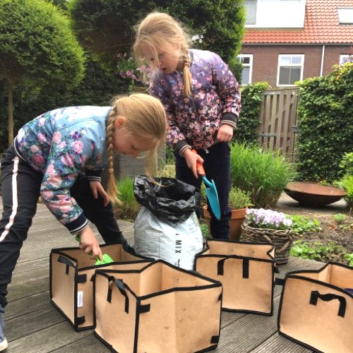 Makkelijke Moestuin mini's zijn ideaal voor kinderen