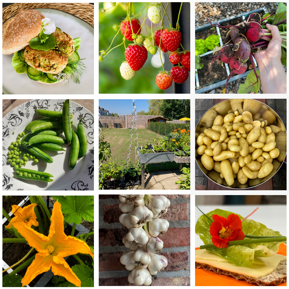 Inspirerende foto's uit de Makkelijke Moestuin community.