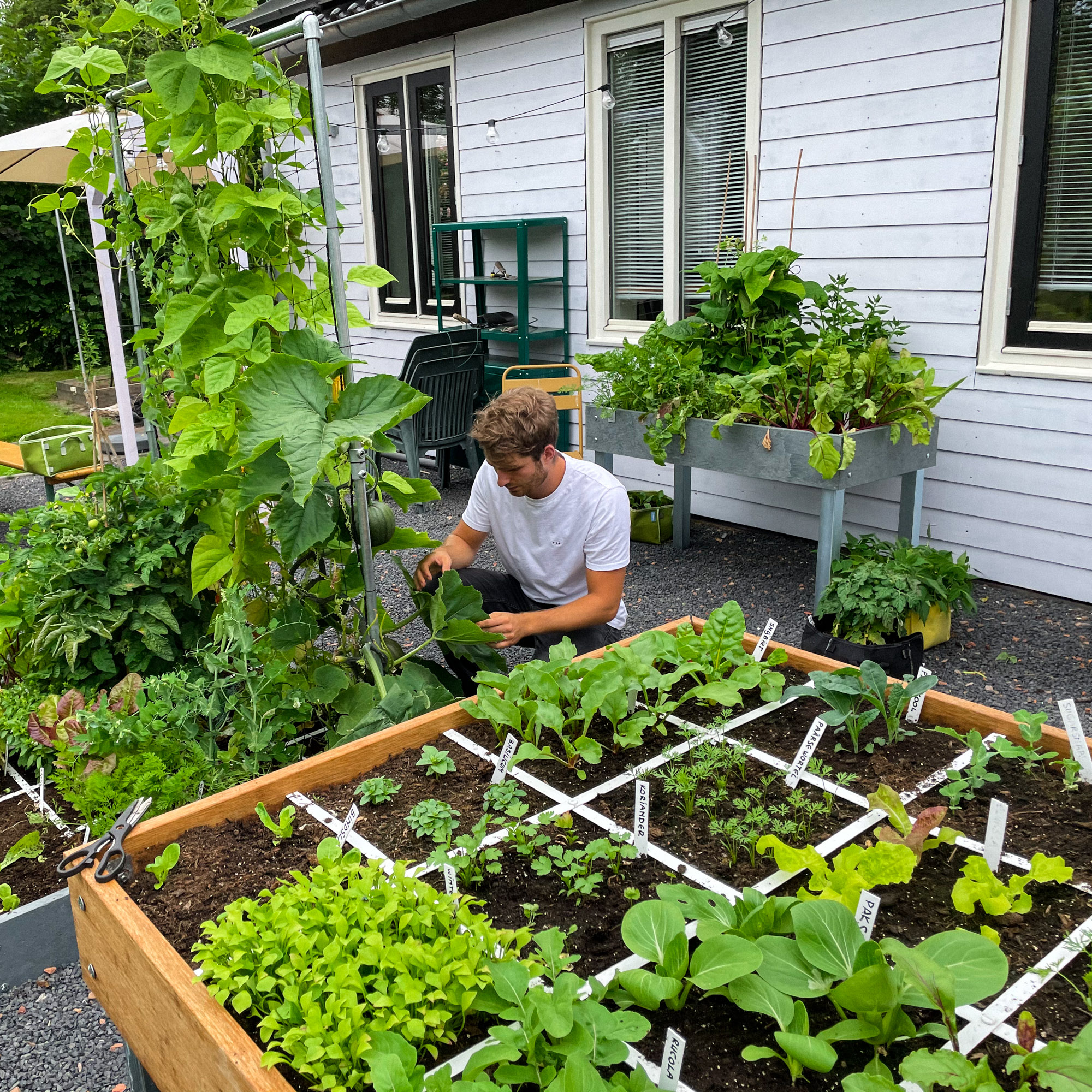 Tips voor wat je met de Makkelijke Moestuinbakken kunt doen vóór je op vakantie gaat