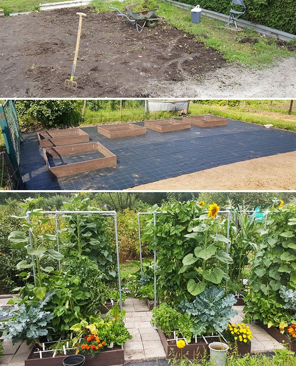 Remi's Planty Garden: from empty yard to vegetable garden paradise