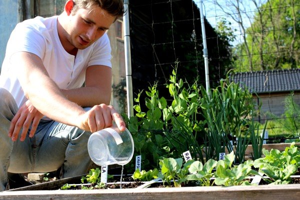 Watering plants with an old deli container