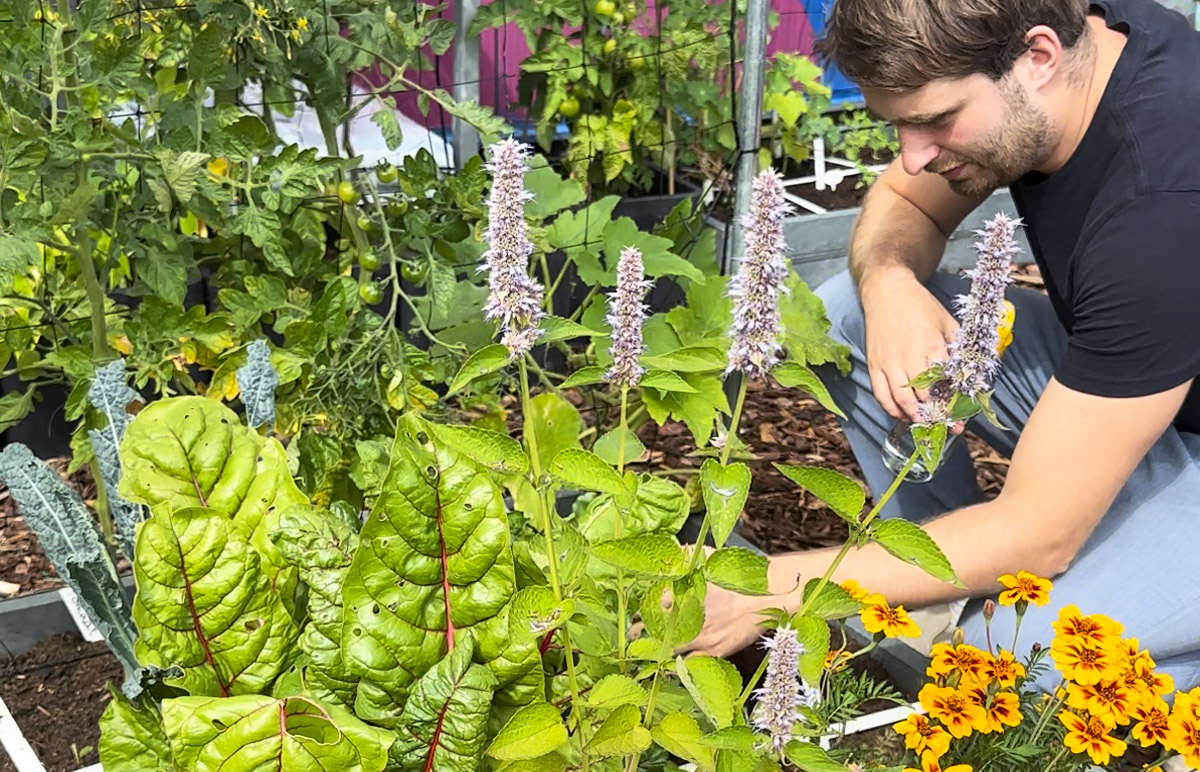 Inspectie van de Makkelijke Moestuin kantoortuin